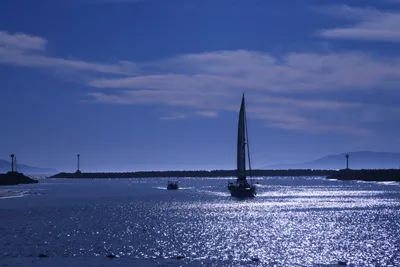 DSC_0828 (Large).JPG